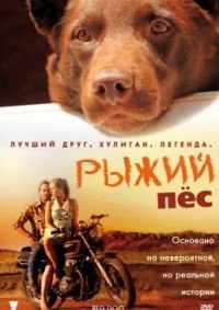 Рыжий пес 2011